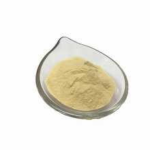 Pure spray dried  vegetable powder ginger powder